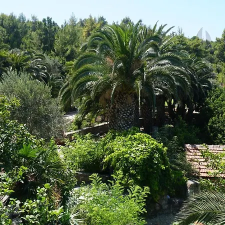 Cesme Koey