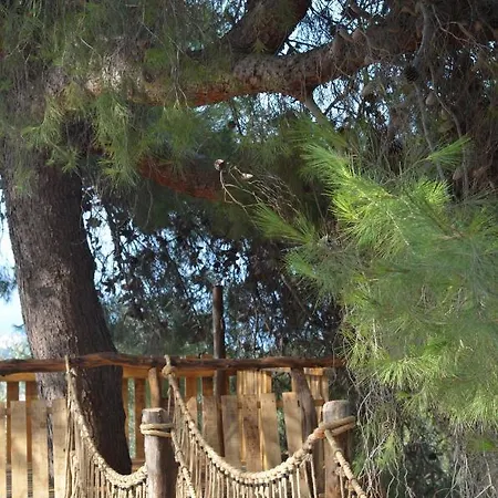 Cesme Koey ホテル